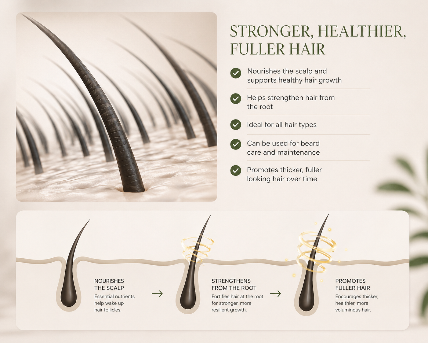 Hair Growth Oil